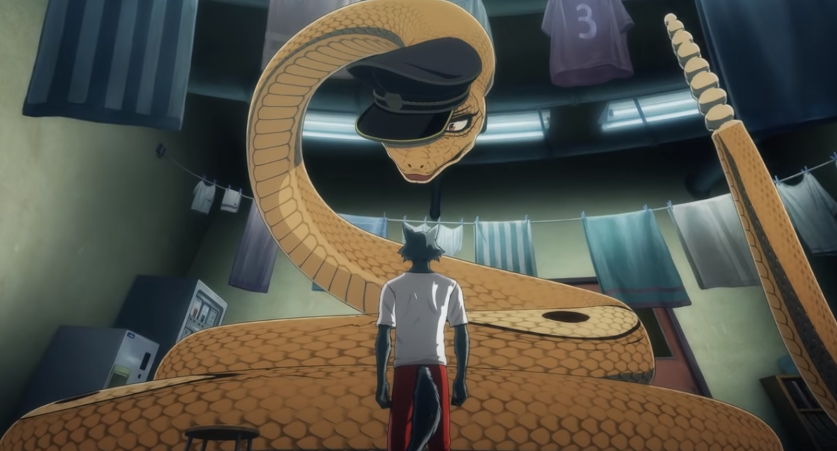 TV动画《BEASTARS》第二季PV公开 2021年1月5日开播