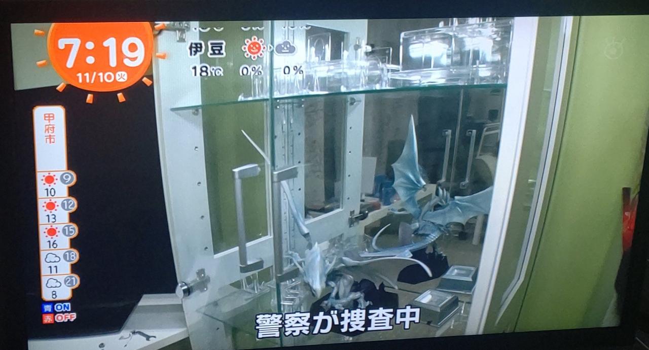 岛国《游戏王》女收藏家珍卡被盗 网友惊呼古鲁斯现世