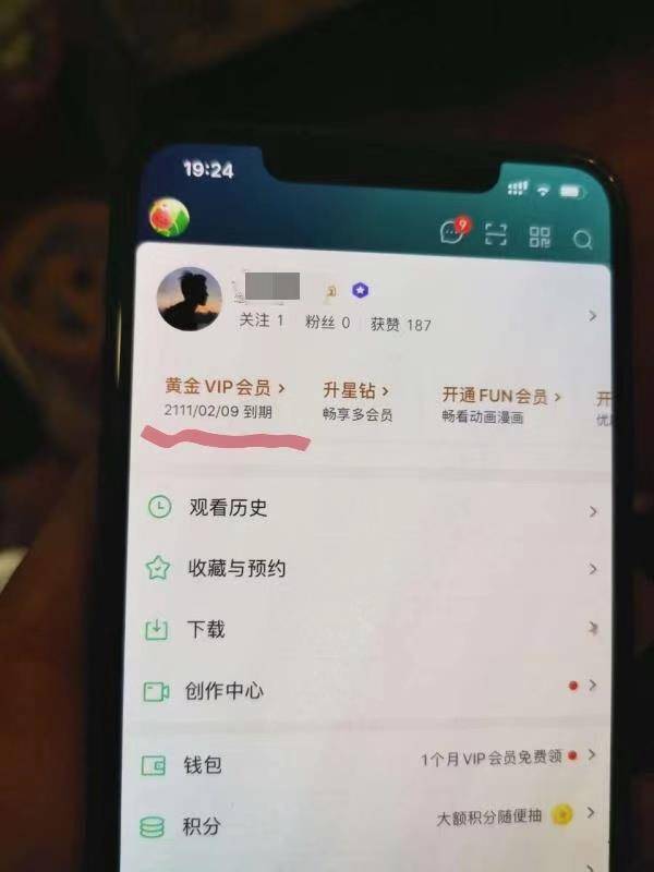 男子薅羊毛把爱奇艺会员充到2111年,现已刑拘插图1 男子薅羊毛将爱奇艺会员充值到2111年 被刑拘