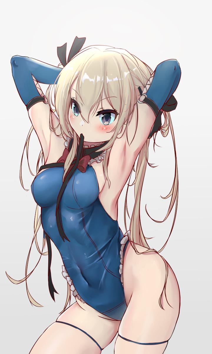 每日好图：P站#碧蓝航线×DOAXVV “玛丽罗斯”同人精选