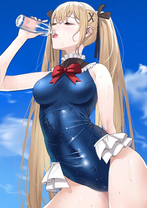 每日好图：P站#碧蓝航线×DOAXVV “玛丽罗斯”同人精选