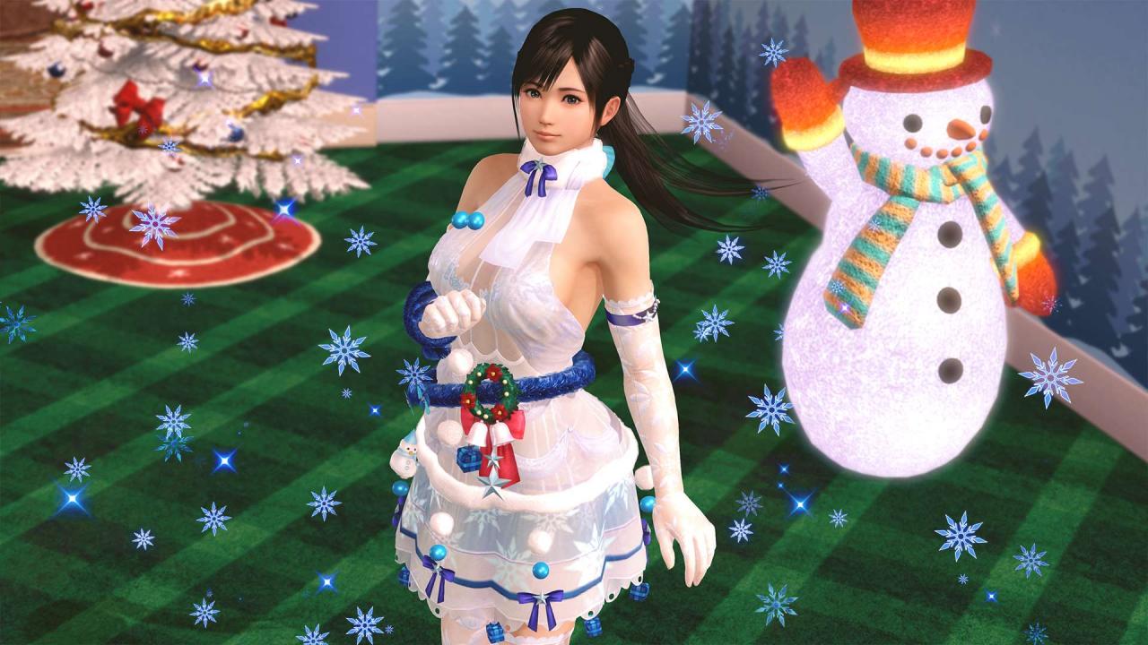 《死或生女神假期》泳装设计大赛金奖作品 美女更性感