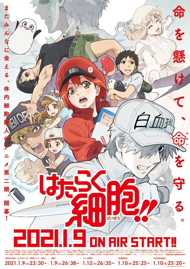 《工作细胞》主题改编游戏确定制作 由网易负责开发