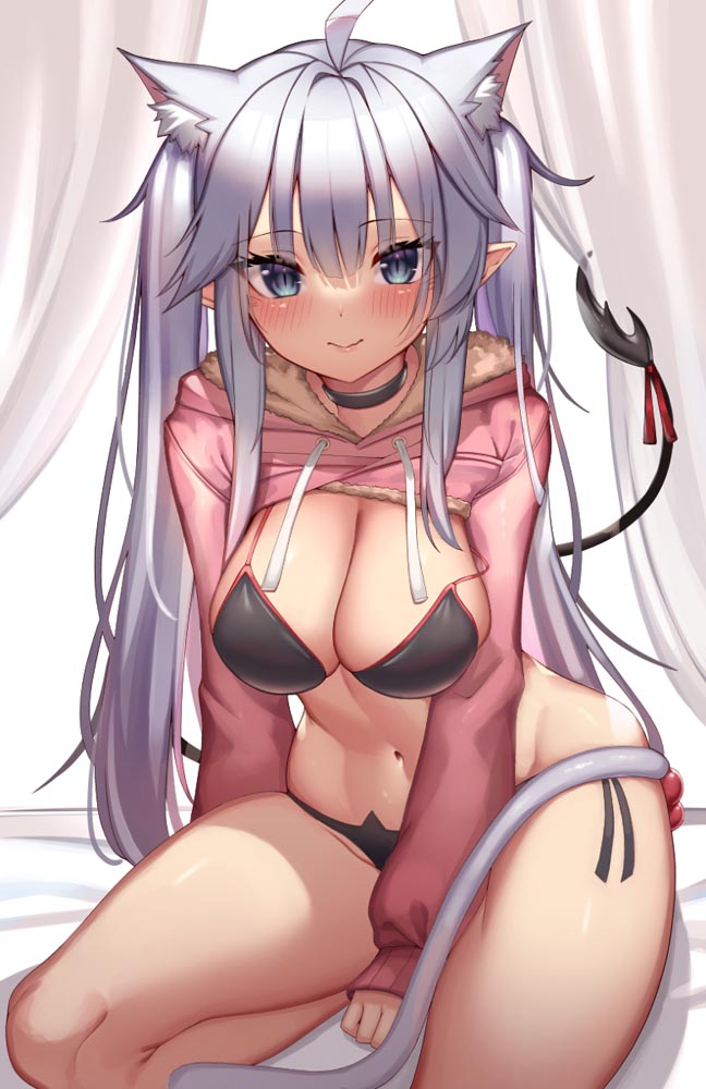 每日好图：二次元巨乳猫耳娘#插画精选【画师Kaptivate】