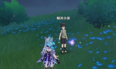 原神稻妻攻略：找手鞠游戏 6个鲸井小弟位置