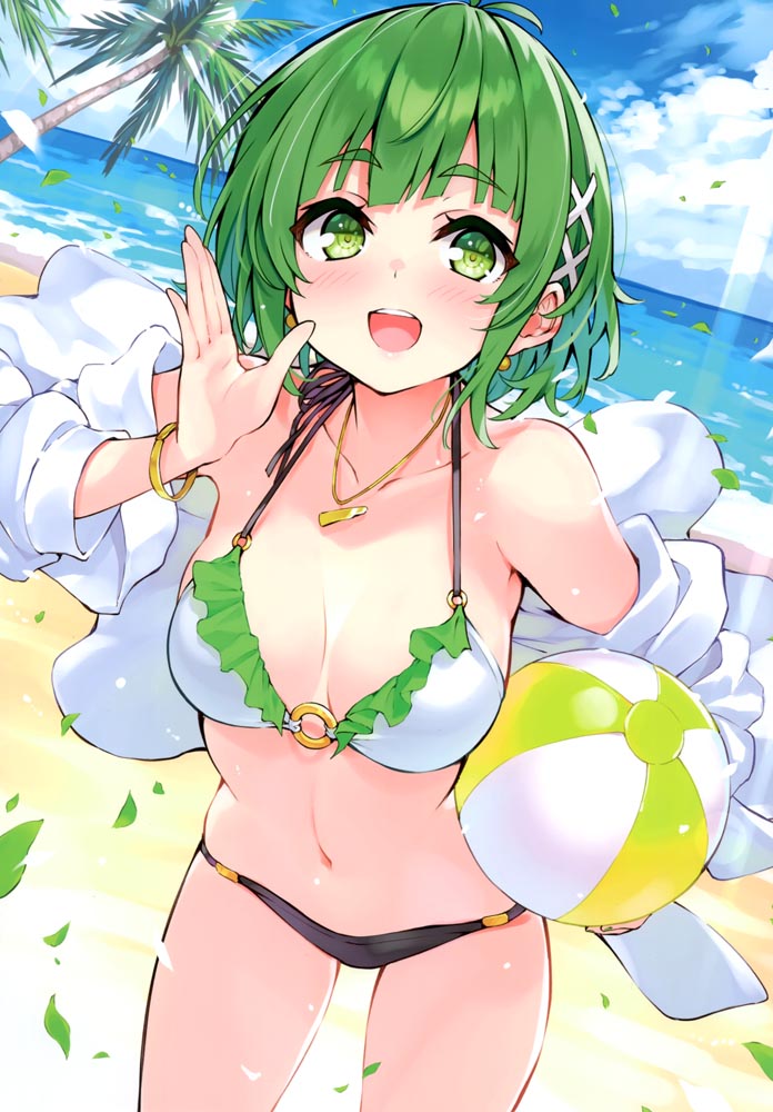 画集： UCHINOKO BIKINI 5 【LA-GO-ON (緋仙カエデ )】