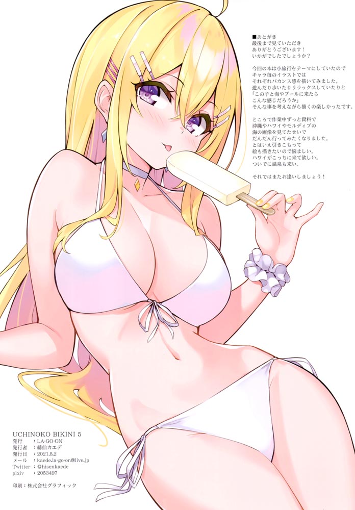 画集： UCHINOKO BIKINI 5 【LA-GO-ON (緋仙カエデ )】
