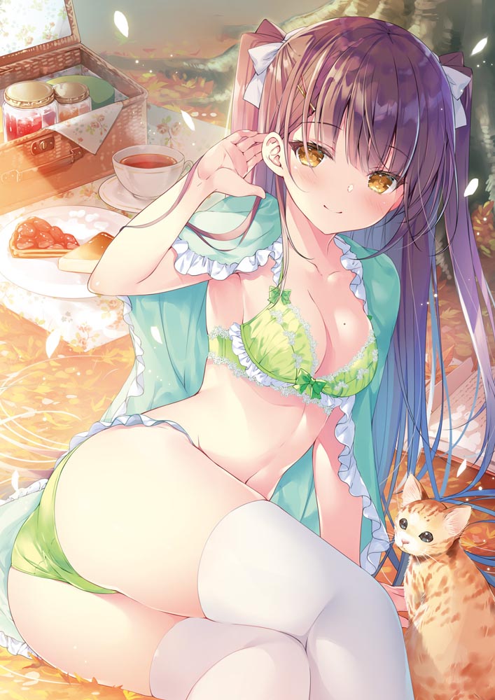 精美画集：「初恋下着 みわべさくら Original Collection」