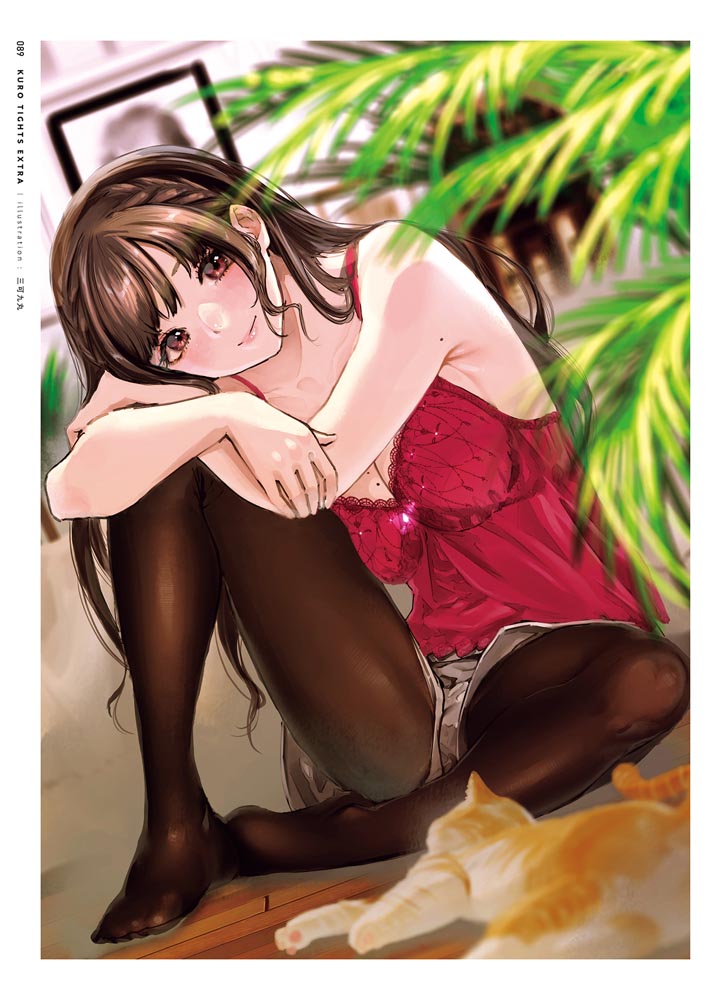 精美画集：黑丝主题插画集《くろタイツEXTRA》