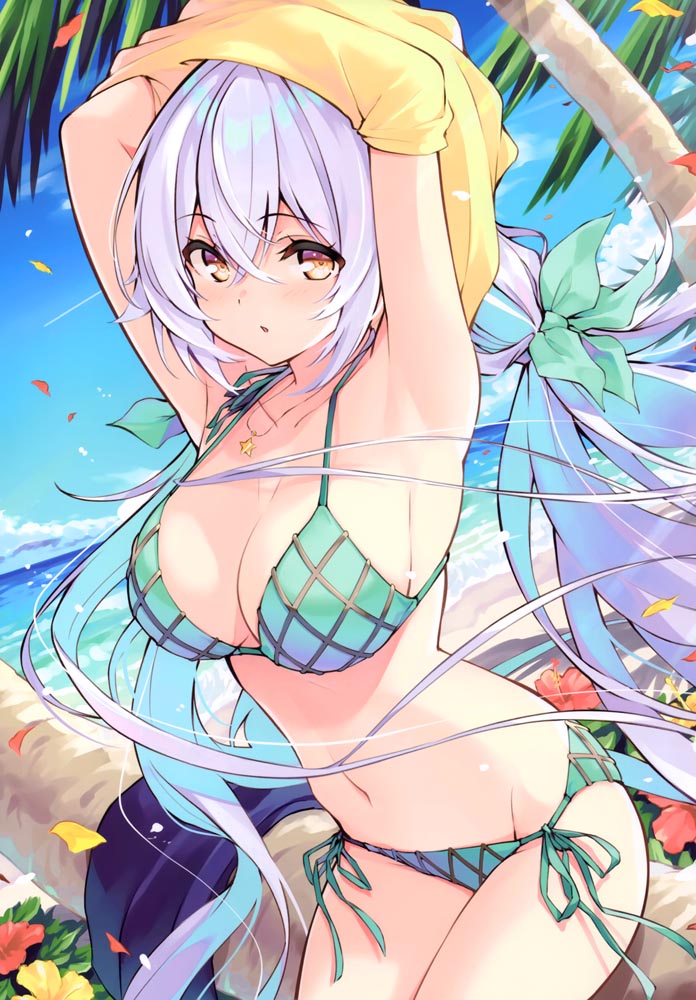 泳装画集： UCHINOKO BIKINI 4 【LA-GO-ON (緋仙カエデ )】