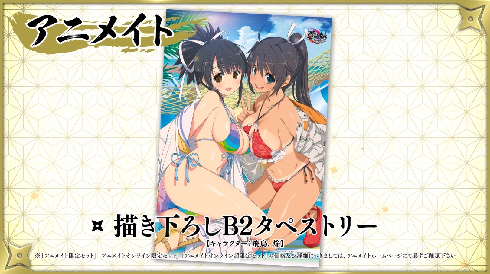 ARPG《闪乱忍忍忍者大战海王星》各类店铺特典公布，游戏将于9月16日发售