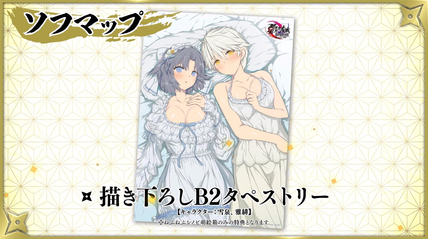 ARPG《闪乱忍忍忍者大战海王星》各类店铺特典公布，游戏将于9月16日发售