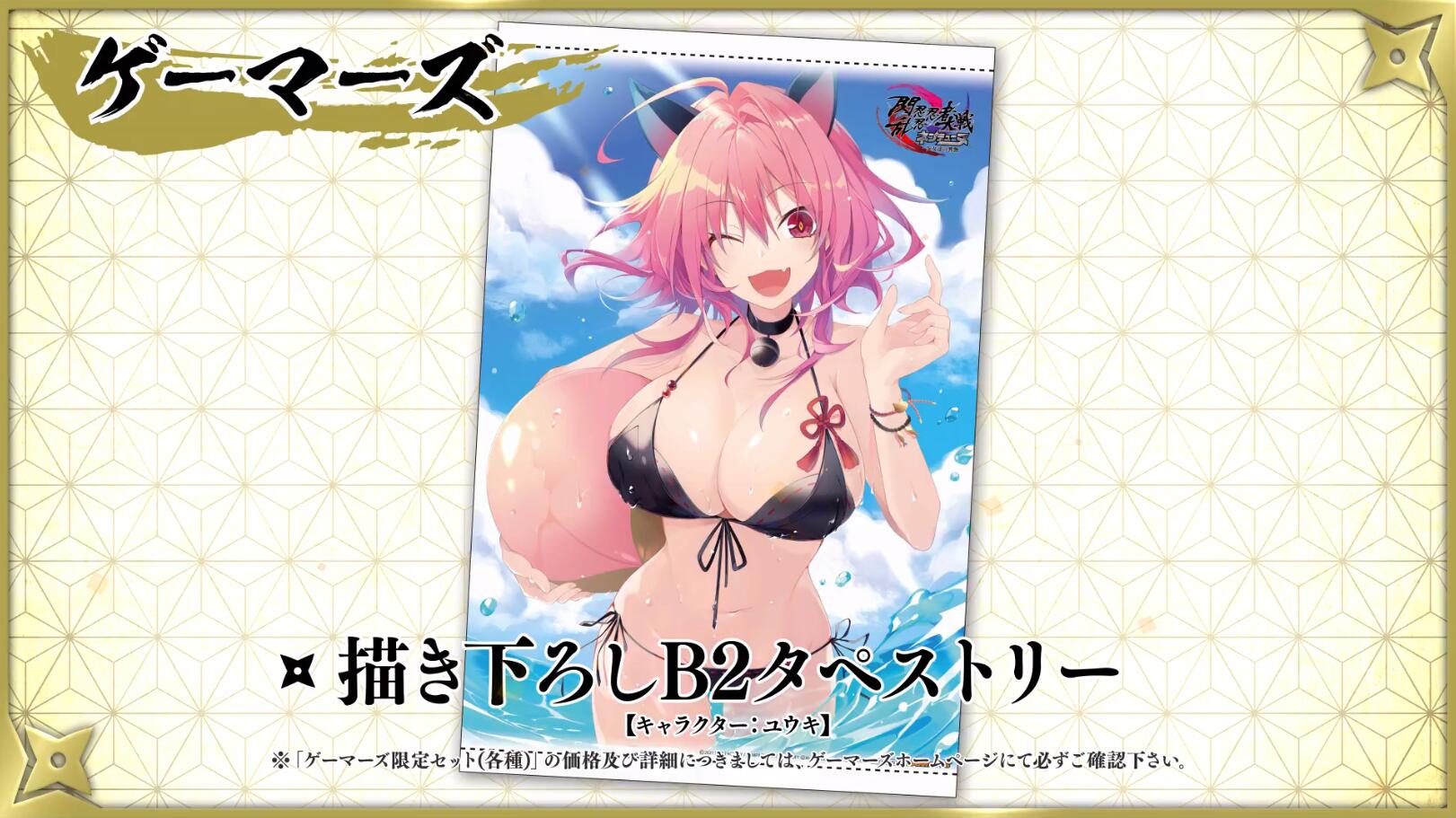 ARPG《闪乱忍忍忍者大战海王星》各类店铺特典公布，游戏将于9月16日发售