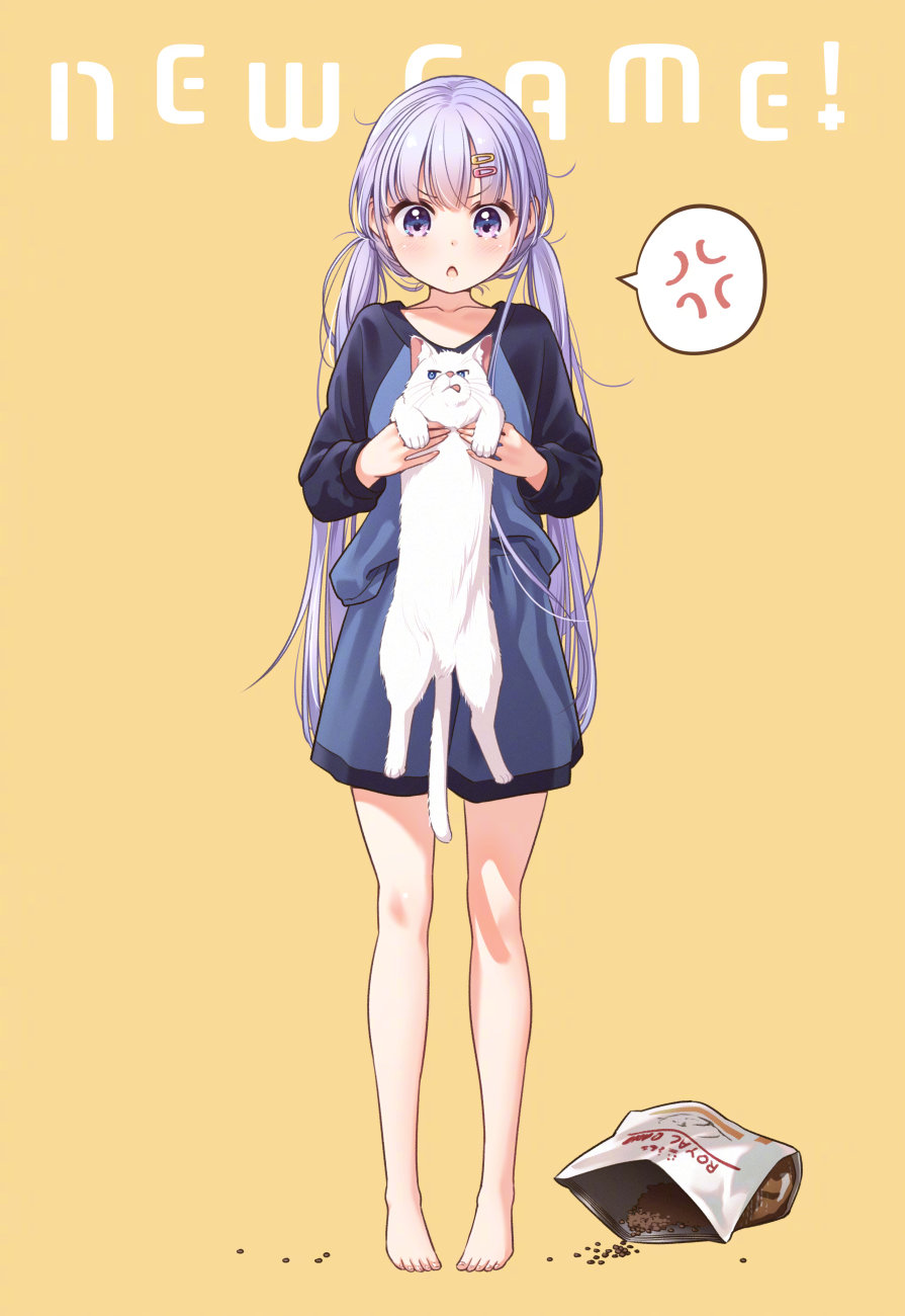 画集：「NEW GAME!」第13卷画集特典插画【得能正太郎】