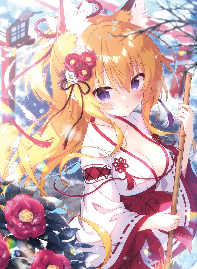 精美画集：电击萌王2022年2月号