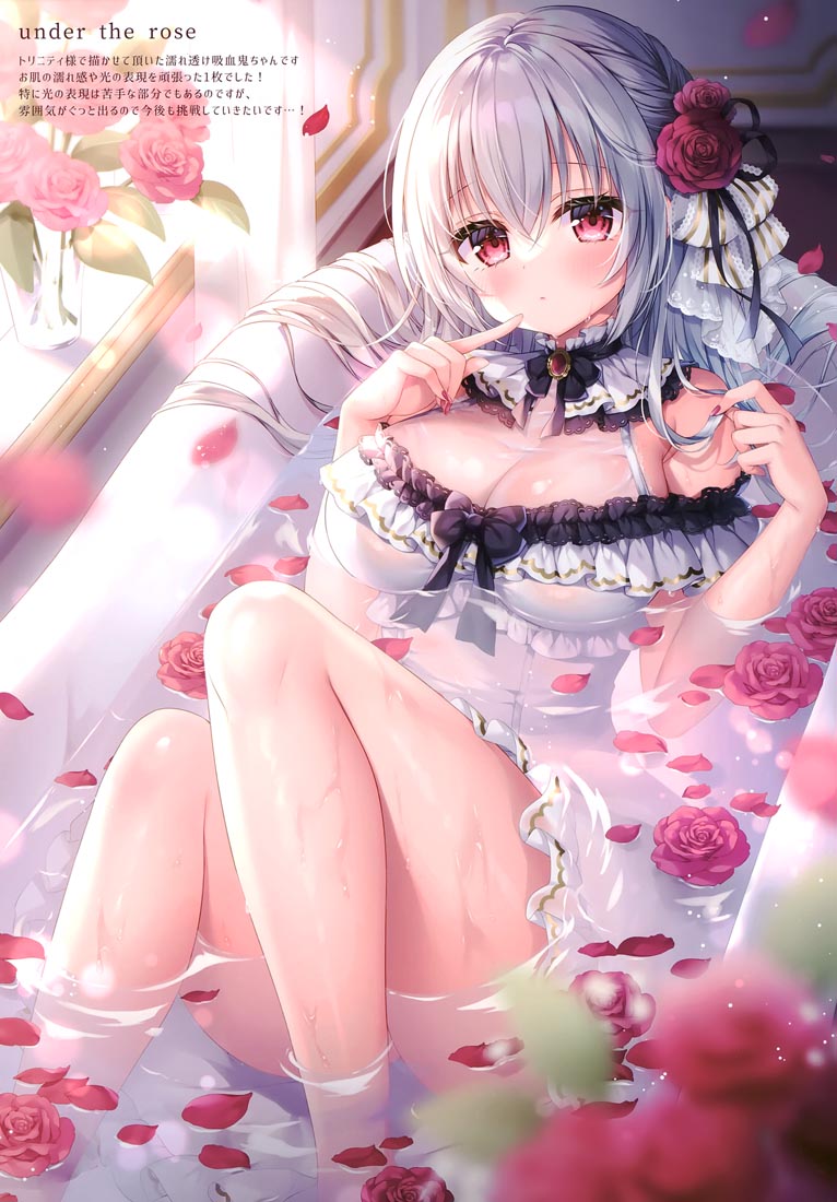 精美画集： Twinkle Box8（C99）【画师：三つ葉ちょこ】