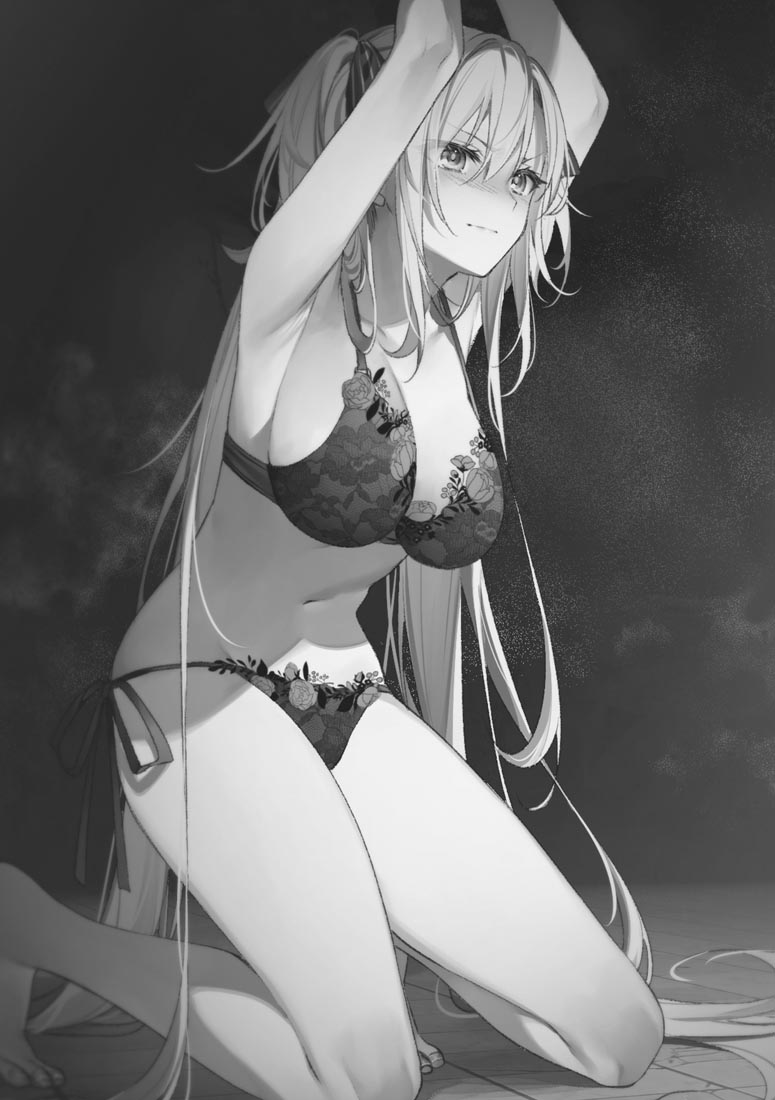 轻小说《圣剑学院的魔剑使》第9卷插图 ​​​