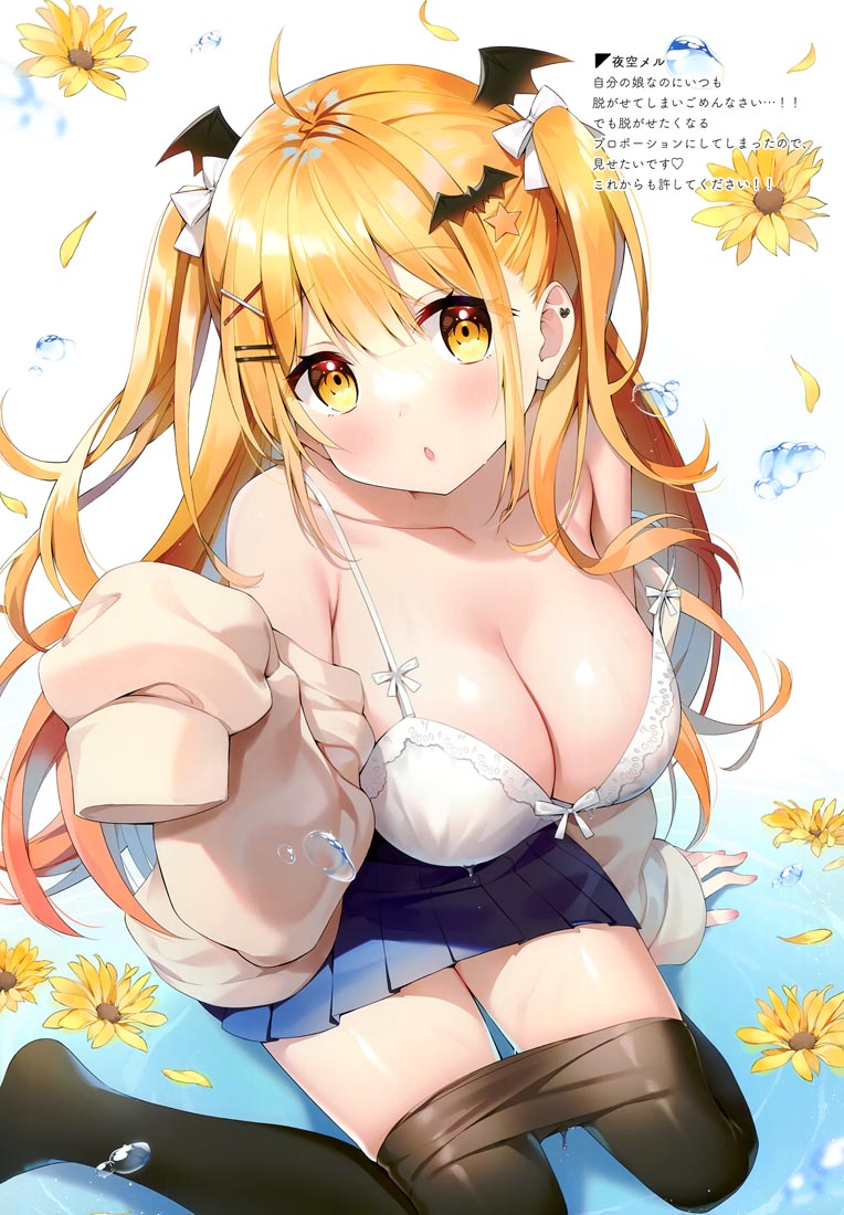 精美画集：HOLO×NURESUKE（C99）【ハチゴ (あやみ）】