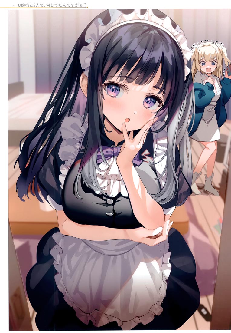 精美画集：(C99)お嬢様やめたい【館田ダン】