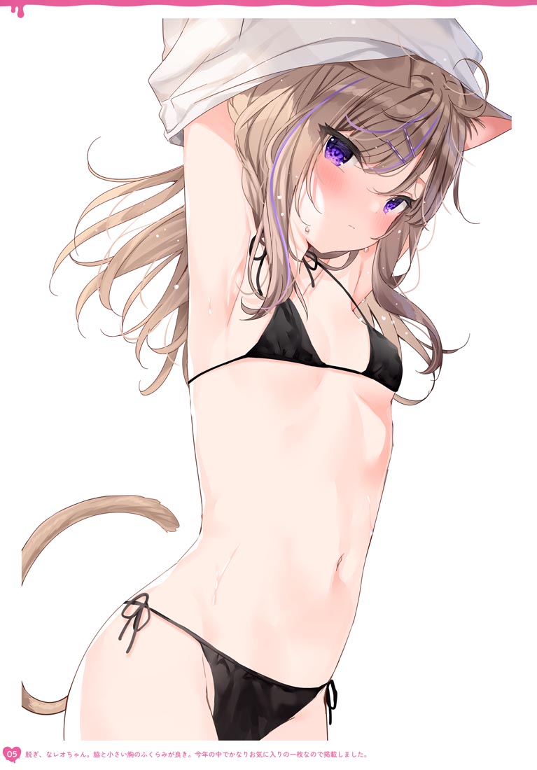 精美画集：(C99) Melt【まふゆ】