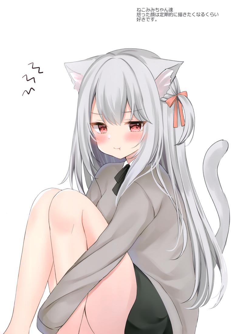 精美画集：(COMITIA140) KEMOMIMI2【画师：はみこ】