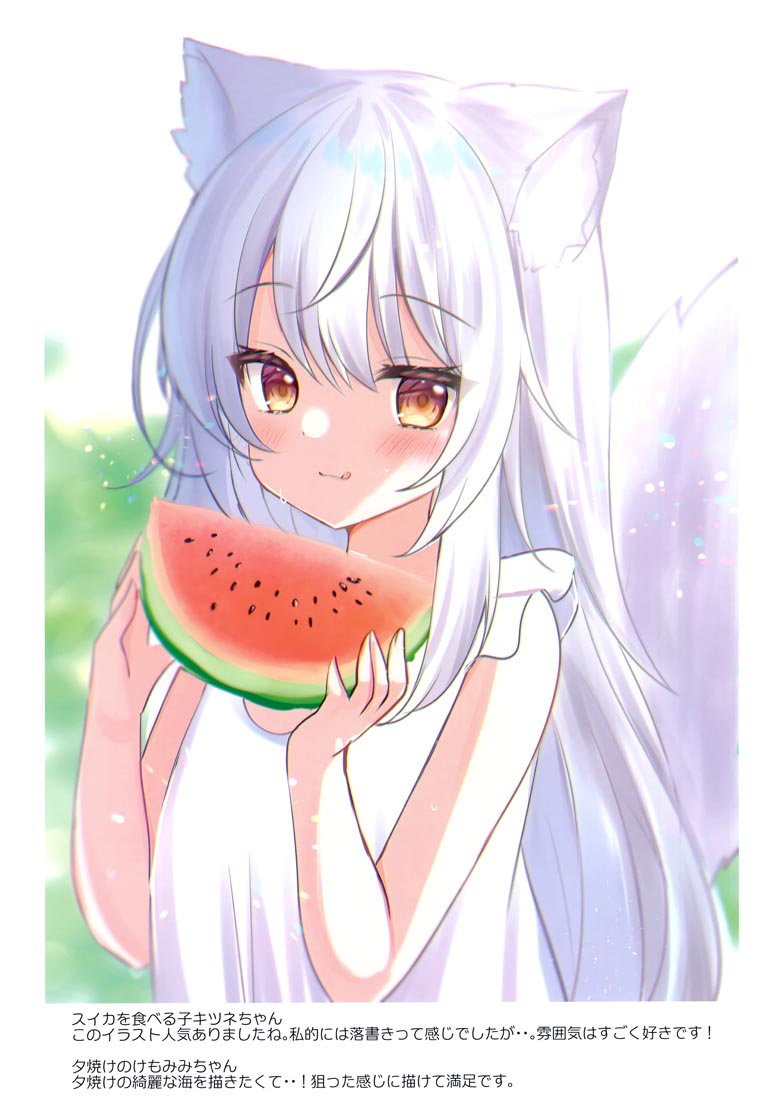 精美画集：(COMITIA140) KEMOMIMI2【画师：はみこ】