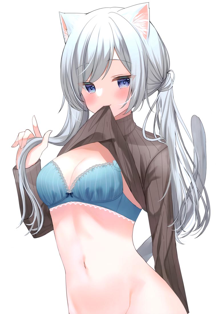 精美画集：(COMITIA140) KEMOMIMI2【画师：はみこ】
