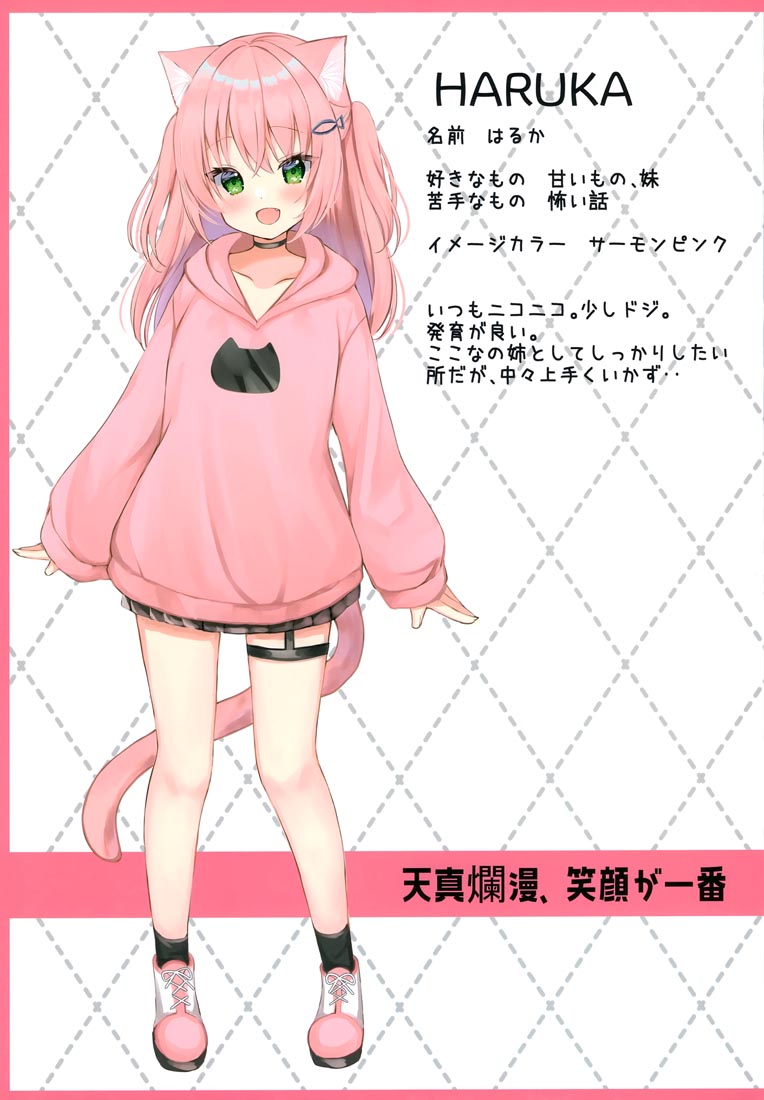 精美画集：(COMITIA140) KEMOMIMI2【画师：はみこ】