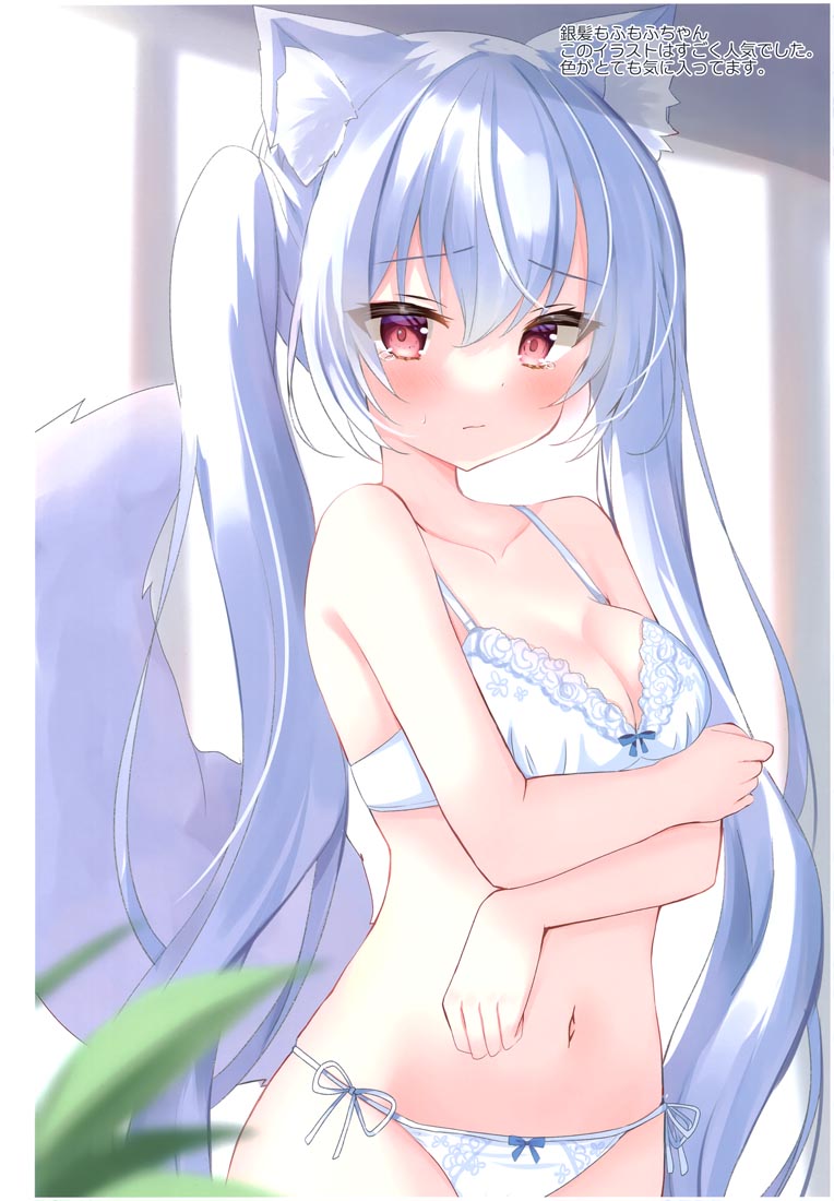 精美画集：(COMITIA140) KEMOMIMI2【画师：はみこ】
