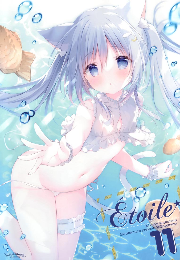 精美画集：Étoile 11（C100）