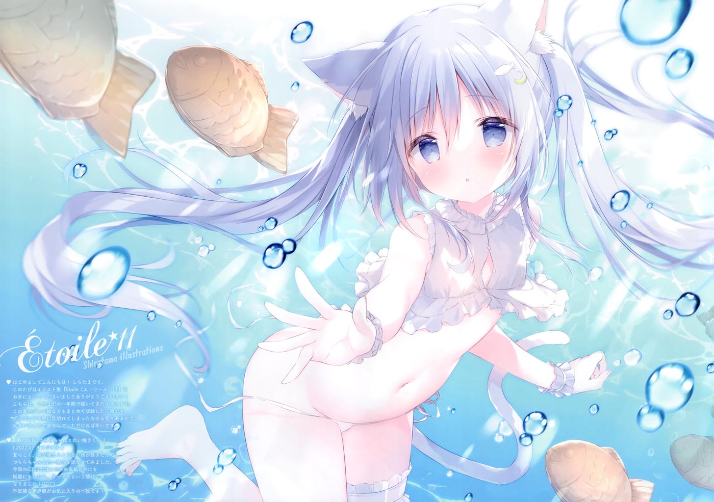 精美画集：Étoile 11（C100）
