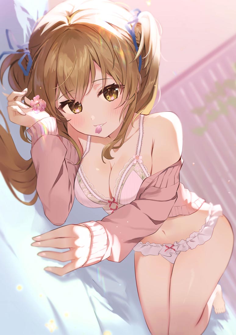 精美画集：FleurdeLingerie【画师：オムレットマト】(C100)