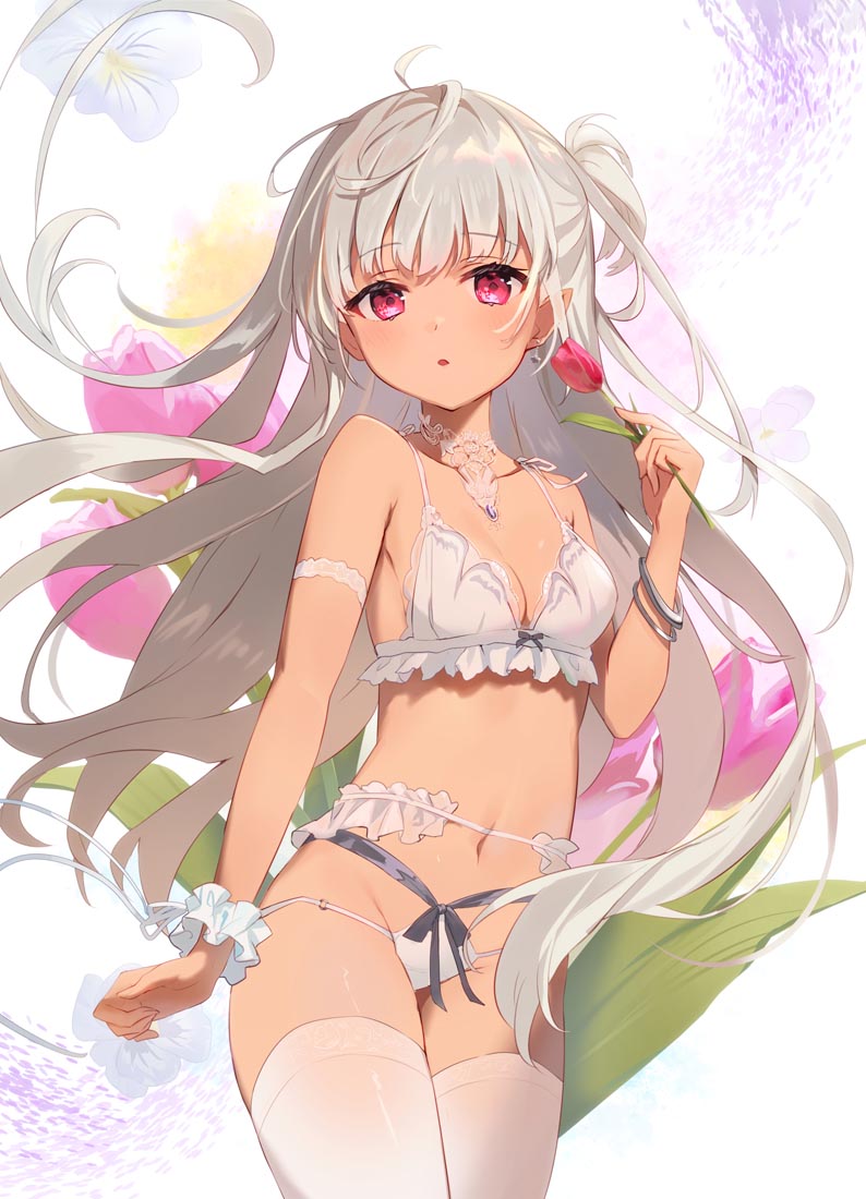 精美画集：FleurdeLingerie【画师：オムレットマト】(C100)