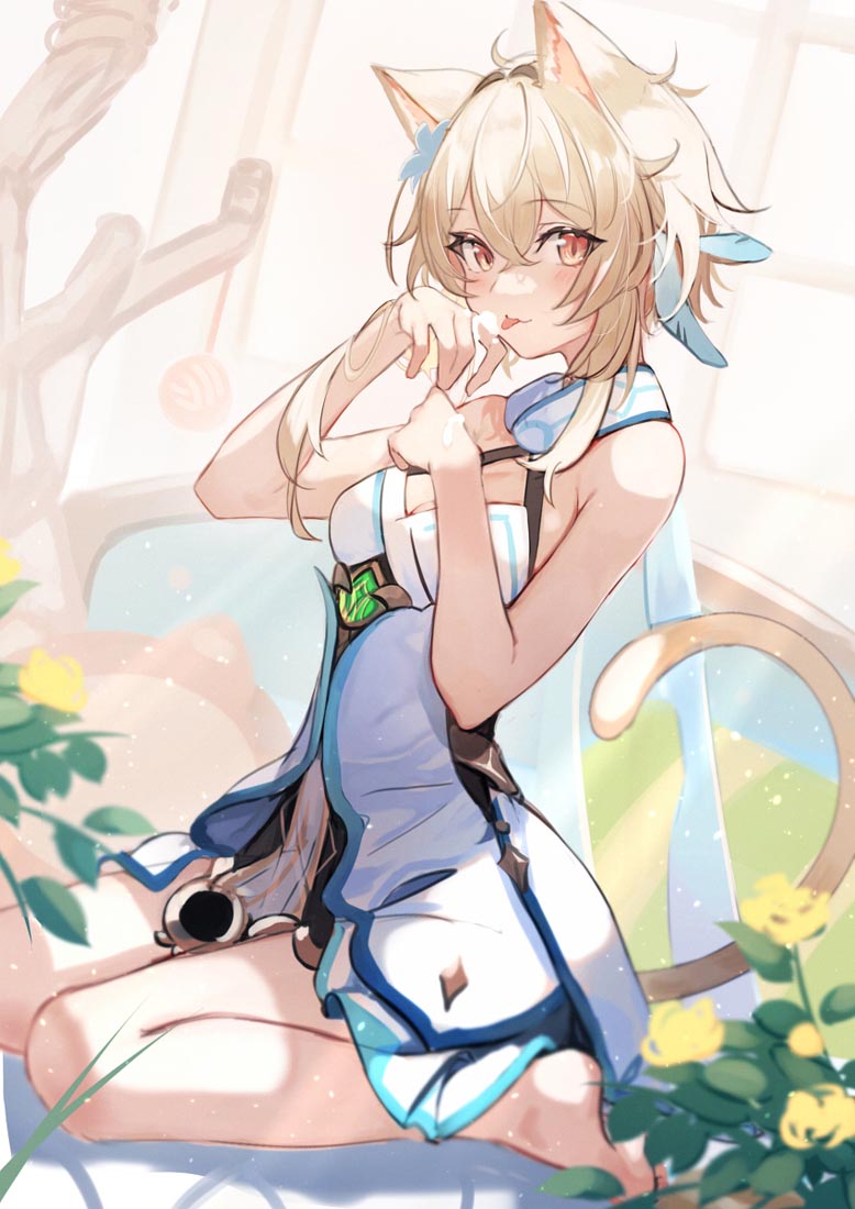 午安#宅圈小站【230323】
