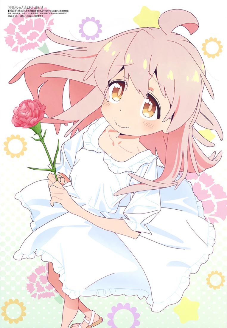 新番动画美少女版权绘「Megami MAGAZINE」2023年2月号