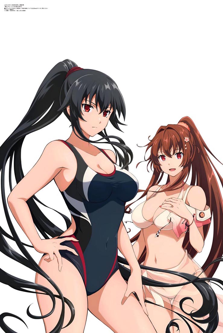 新番动画美少女版权绘「Megami MAGAZINE」2023年3月号