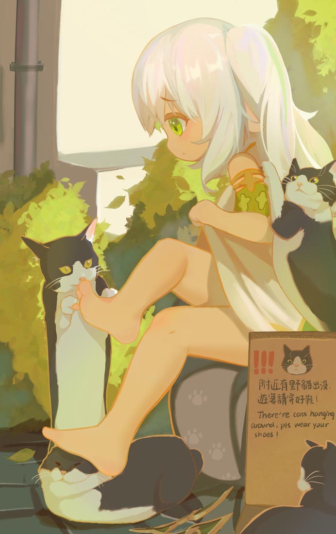 【230425】原神同人合集#午安