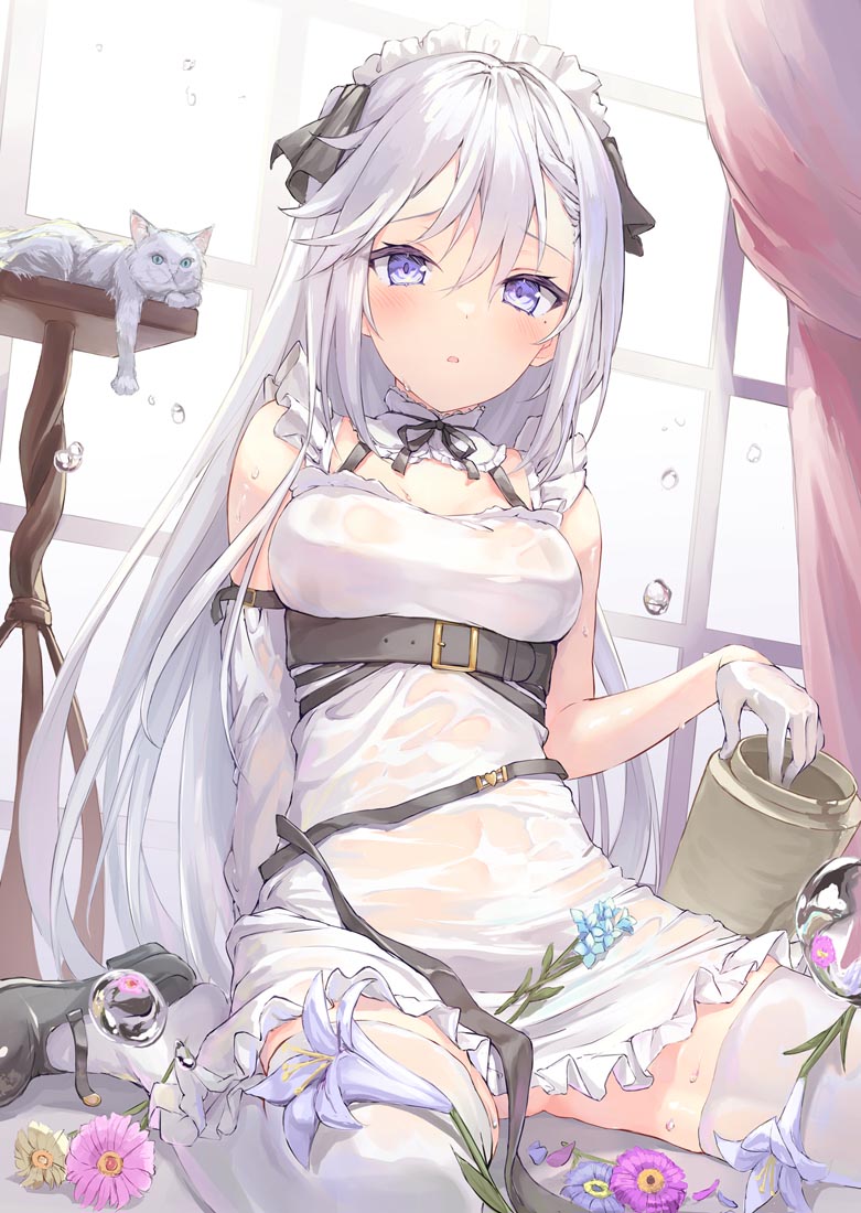 午安#Xman好图【230528】