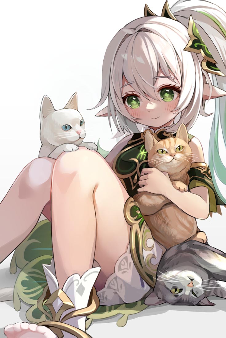 晚安#小站好图【230601】