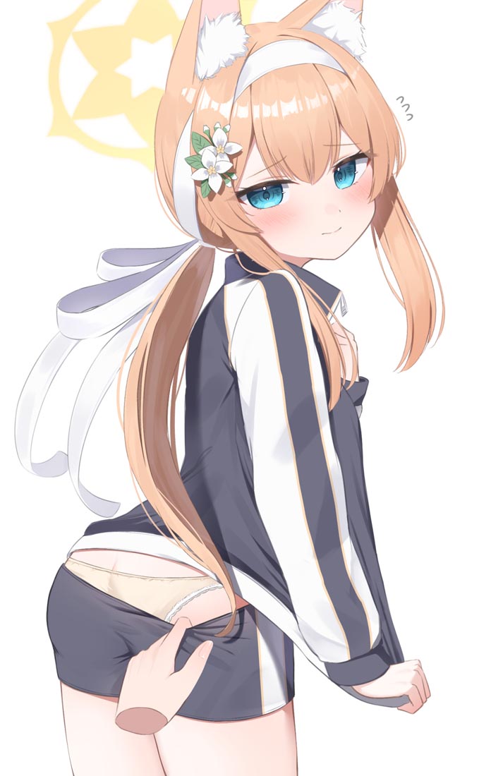 【230620】每日好图~#午安