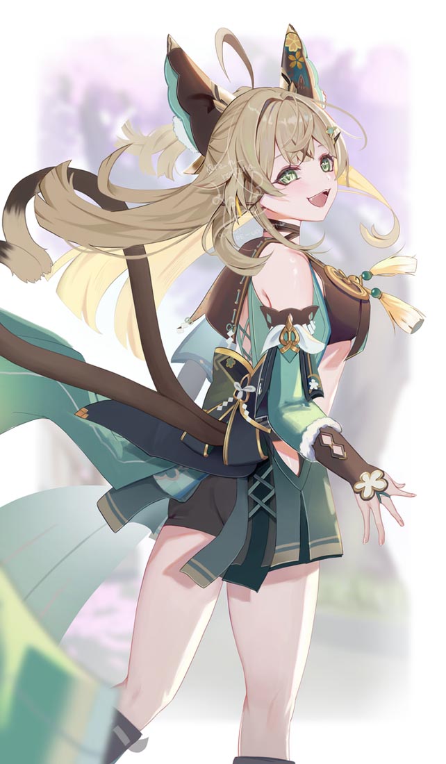 P站好图合集#晚安【231112】