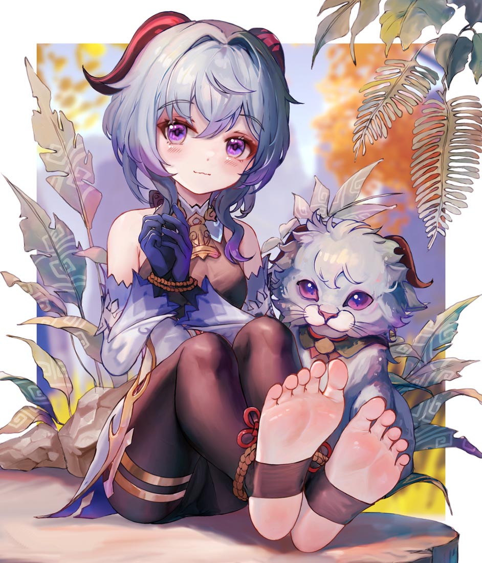 【231203】好图更新#早安