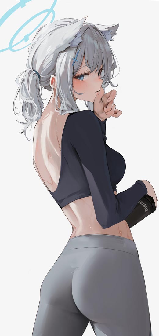 【231203】好图更新#午安