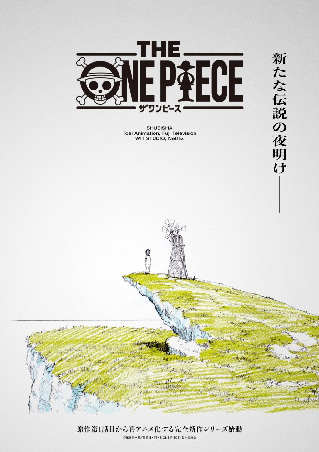 《海贼王》TV动画完全重制版 正式公布，霸权社制作！！！