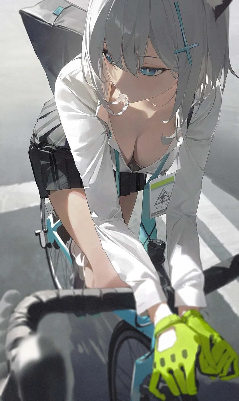 Xman每日好图【20260812】
