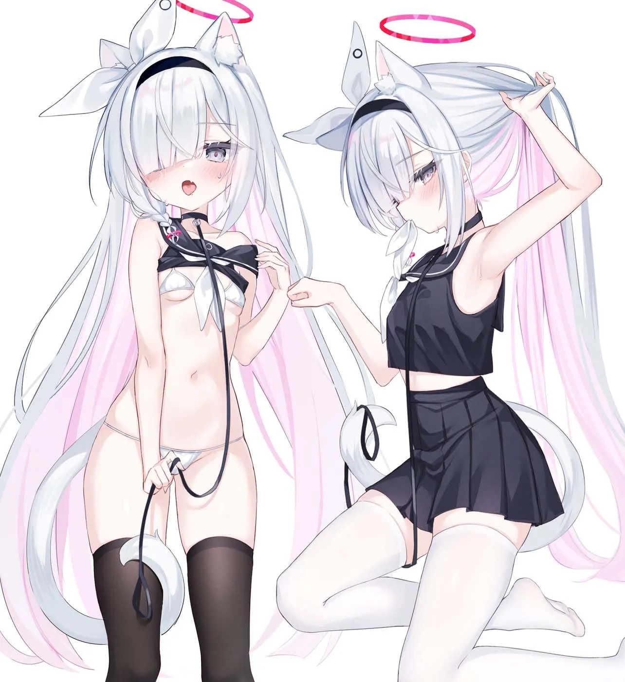 每日好图【20261014】