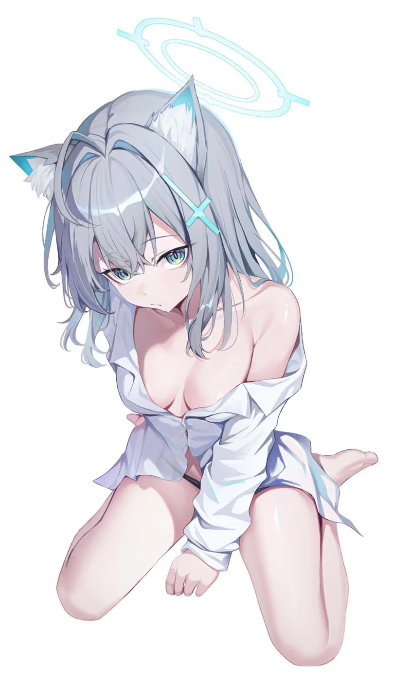 每日好图【20261024】