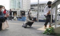 日本天桥下长出“超坚强”萝卜，结果惨遭拔走