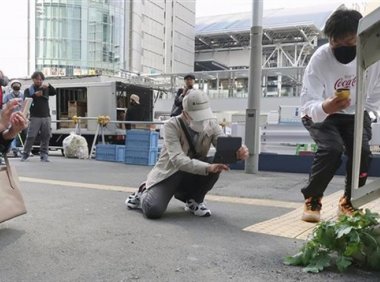 日本天桥下长出“超坚强”萝卜，结果惨遭拔走