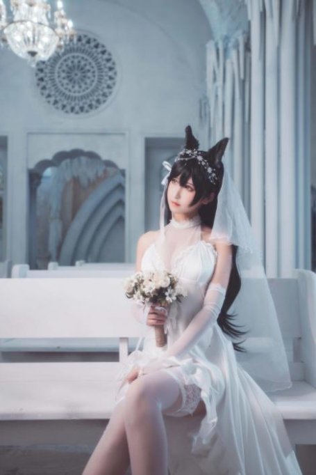 [三度] 福利写真集·NO.002 犬 [22P]